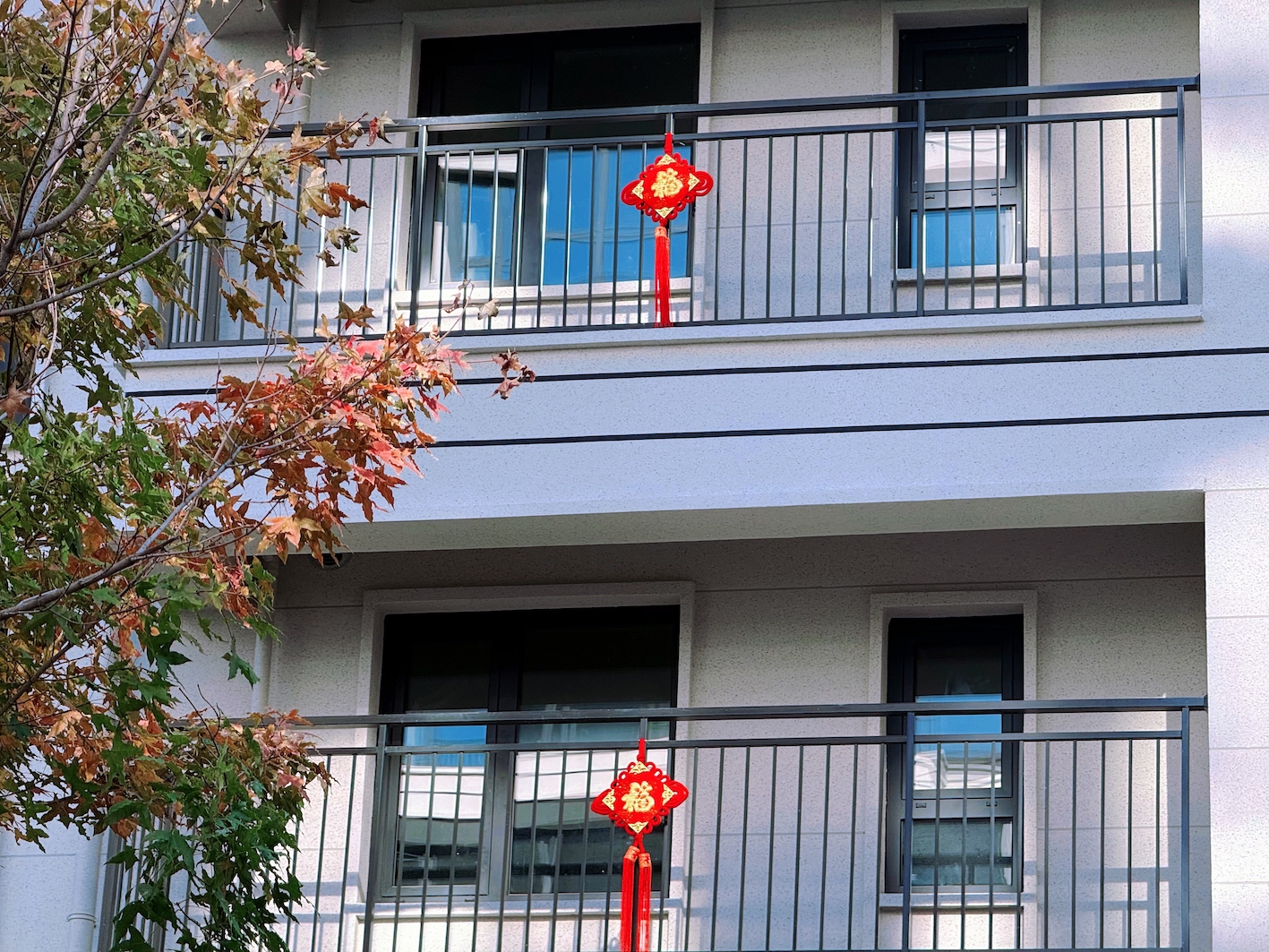 朝阳学府温馨交付｜给业主金秋最大的幸福收获(6)