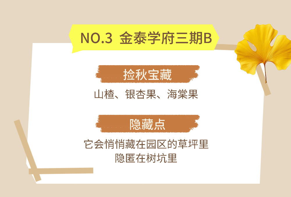 京城捡秋指南2 (5).jpg