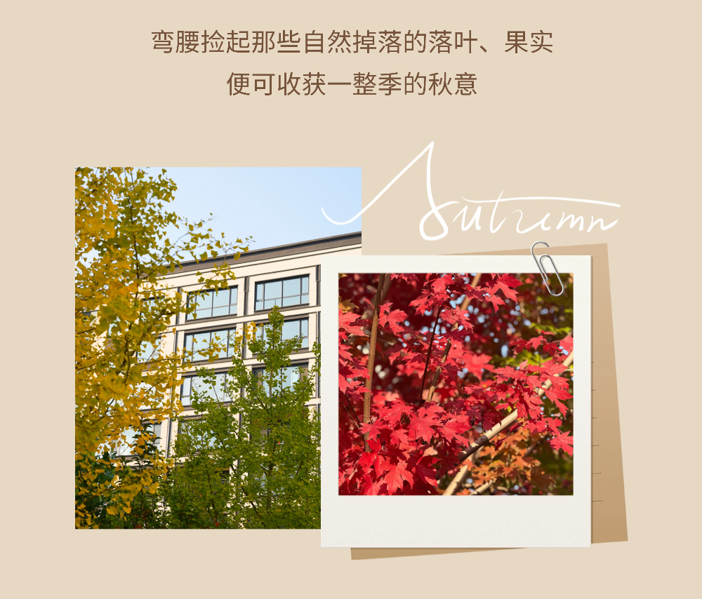 京城捡秋指南2 (6)的副本.jpg