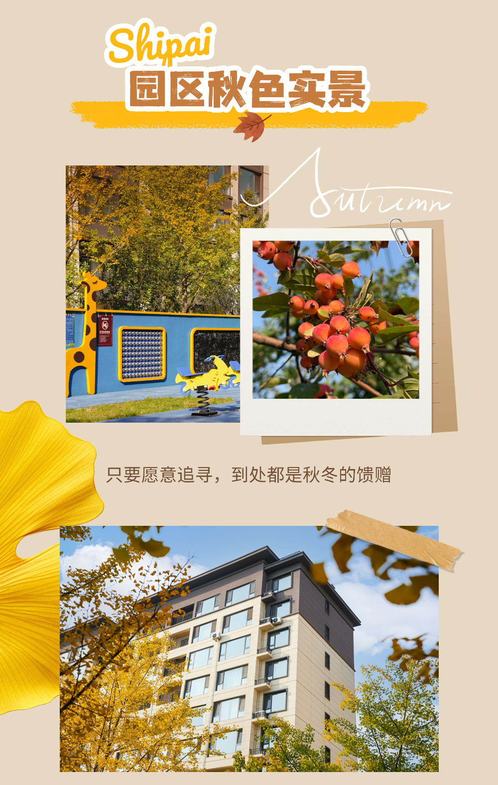 京城捡秋指南2 (6).jpg