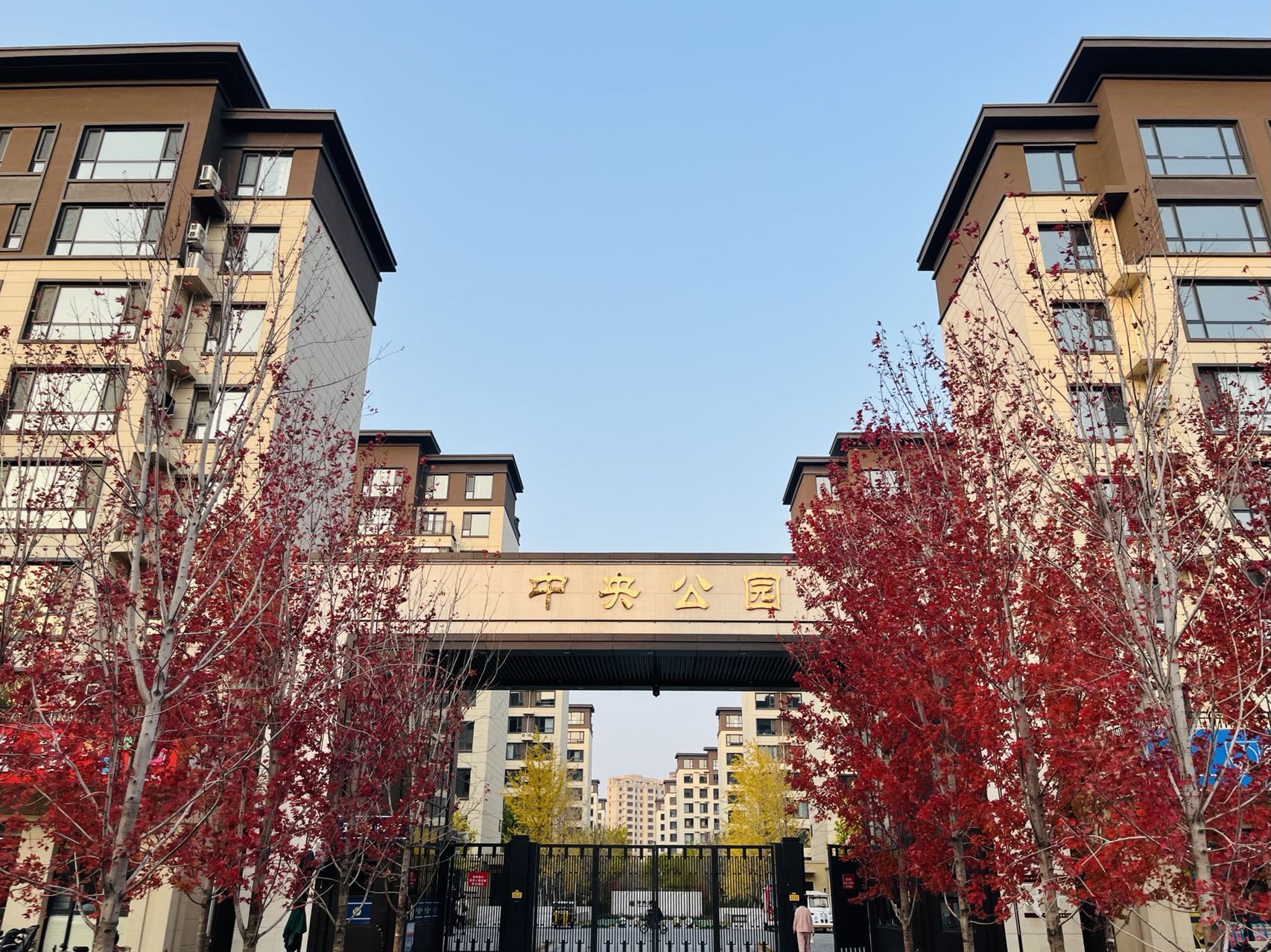 中央公园D区正式办结现售许可证(图2)