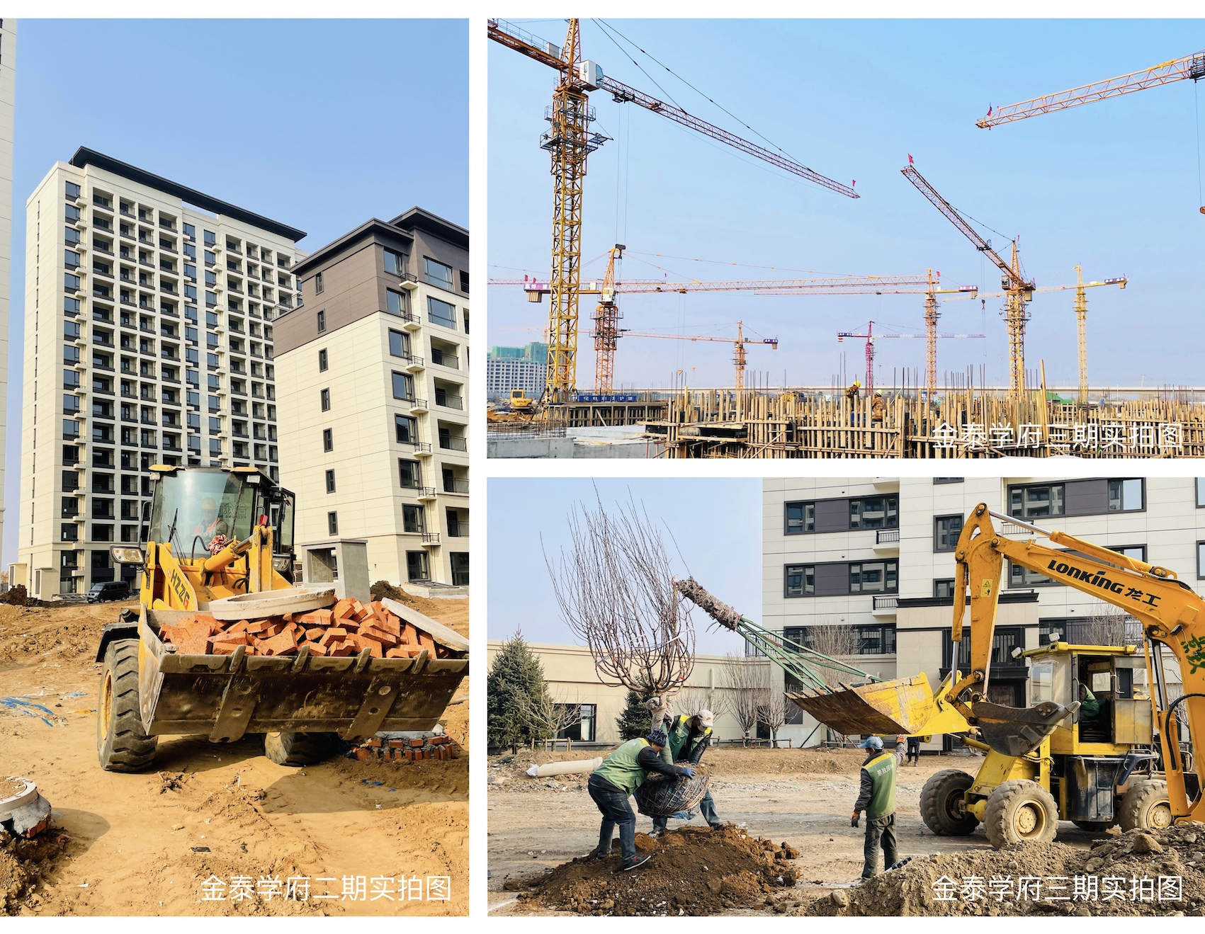 奋进实干 全面复工丨金泰地产为幸福“家”速度(图1)