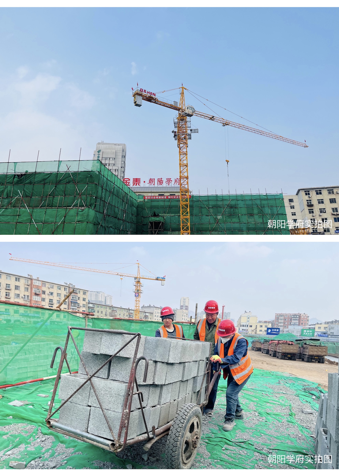 奋进实干 全面复工丨金泰地产为幸福“家”速度(图2)