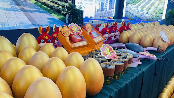 房交会持续火爆，金泰品质四盘燃领热潮(图4)