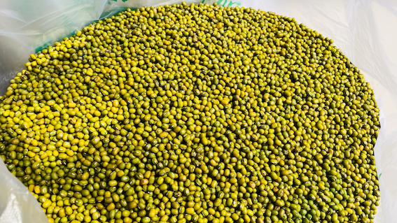 酷夏送清凉&nbsp;关怀沁人心 金泰地产为高温下的建设者们送去夏日问候(图4)