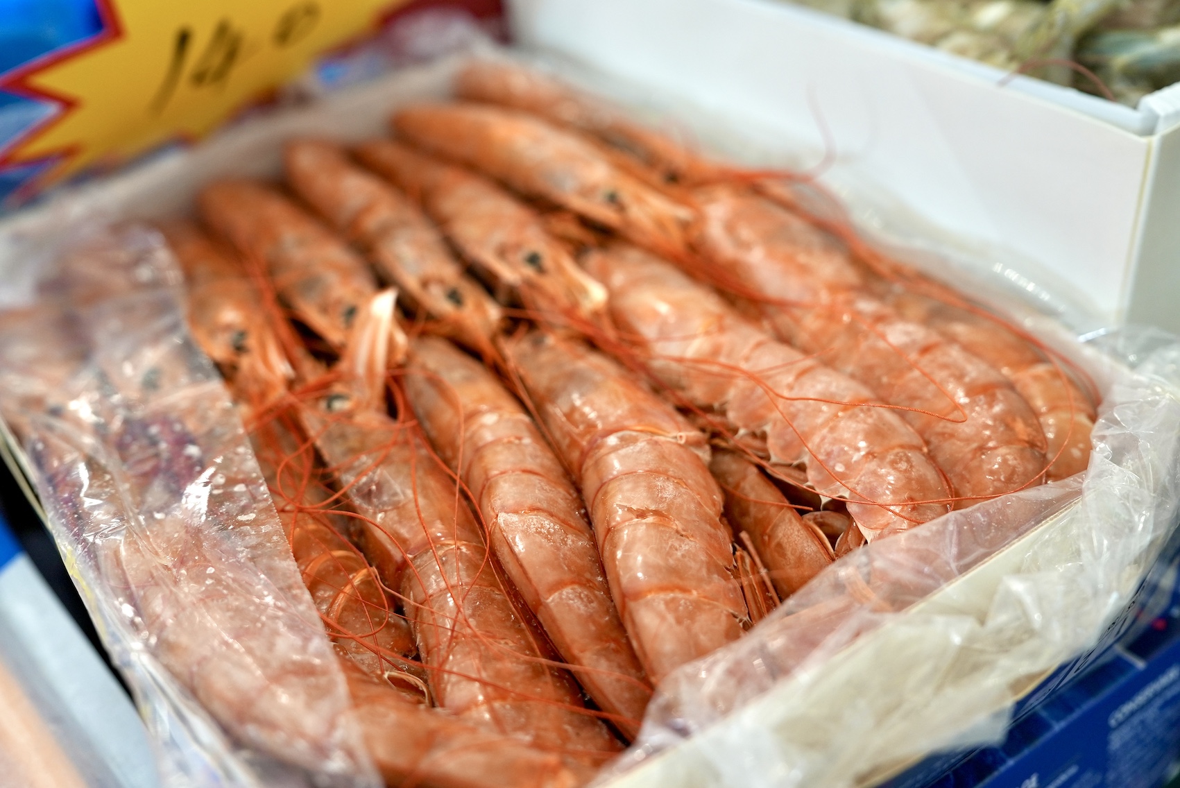 家门口的年货大集，“龙”重登场欢乐GO！(图4)