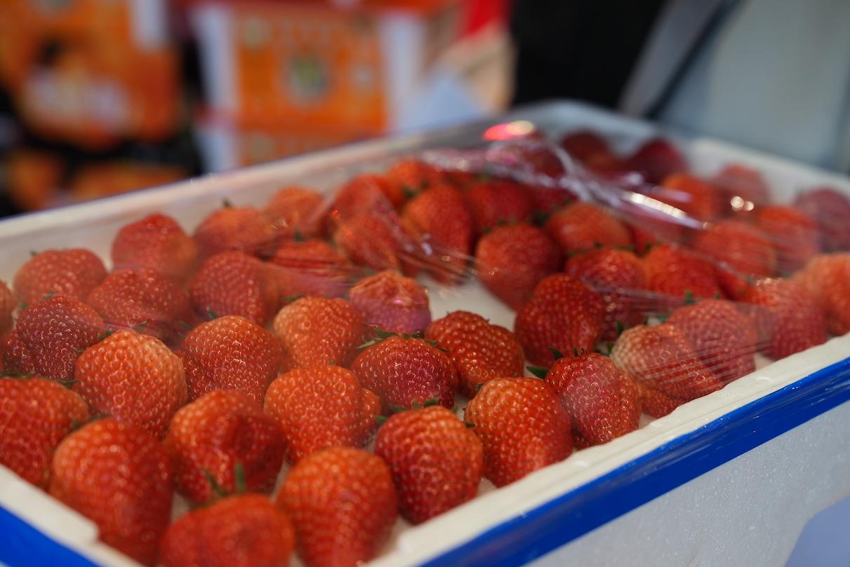 家门口的年货大集，“龙”重登场欢乐GO！(图5)