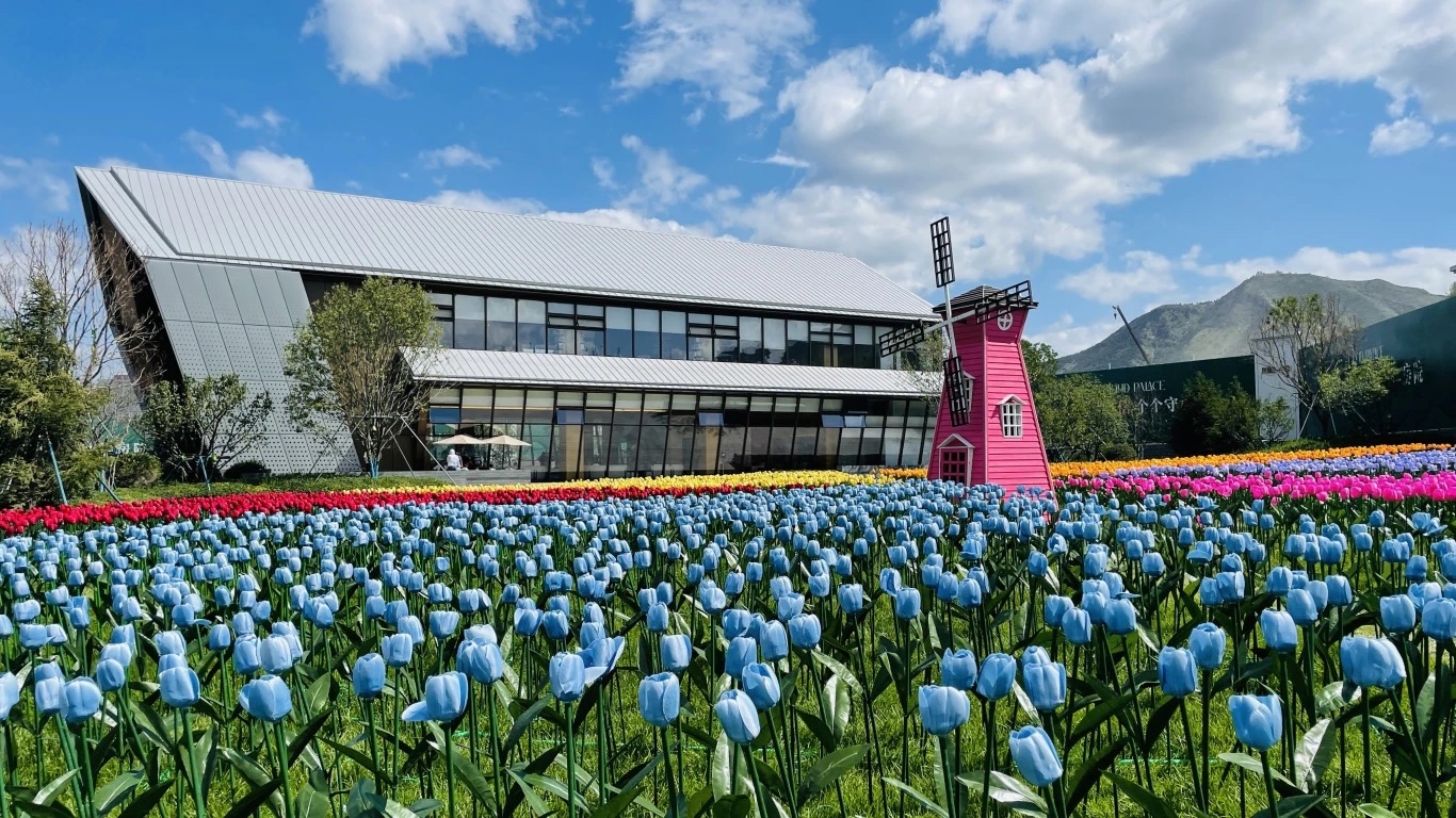 金泰地产祝全市人民新春快乐，龙年大吉！(图2)