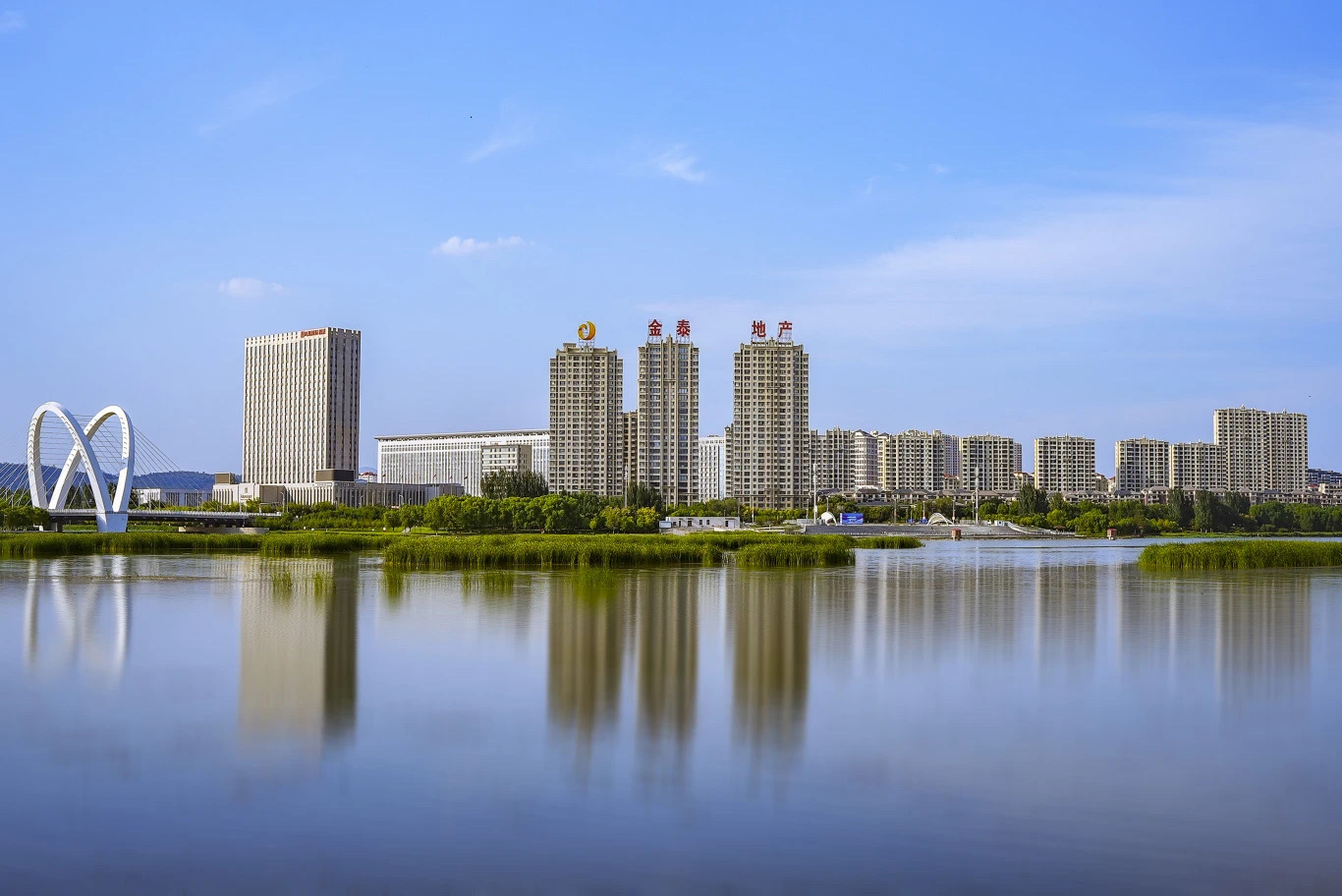 金泰地产祝全市人民新春快乐，龙年大吉！(图6)
