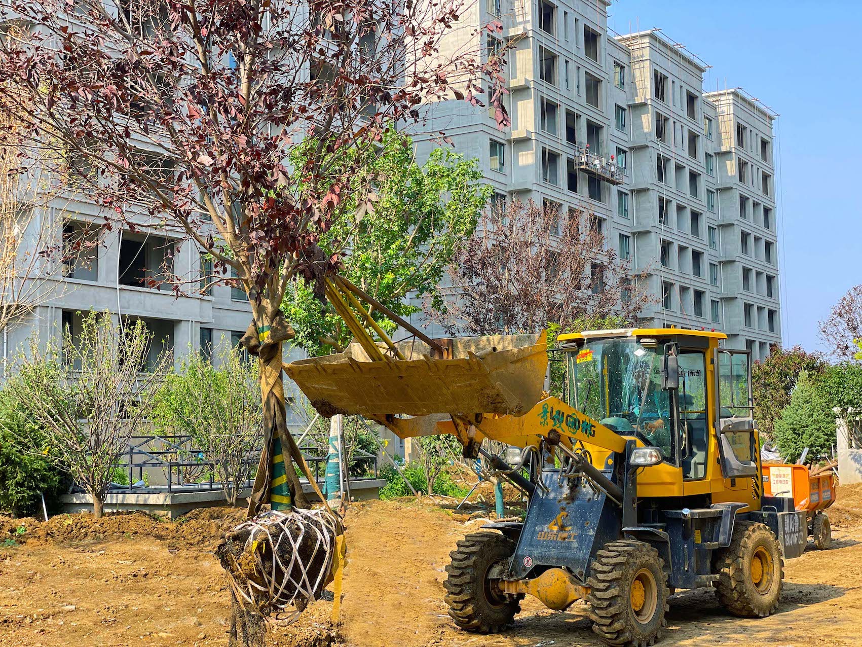 2-240H3111TB28.jpg 2-240H3111TB28.jpg